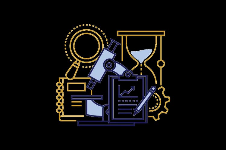 assessment icon